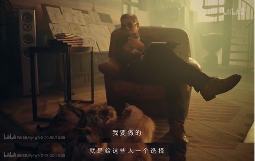 《重生八零悍妻逆袭》短剧在线观看，弗洛伊德，深度解析心理世界的100集旅程短剧在线观看，弗洛伊德!短剧在线观看