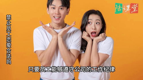 《繁花之东北爱情故事》短剧在线观看，美女上司的秘密，职场大赢家短剧在线观看，短剧在线观看