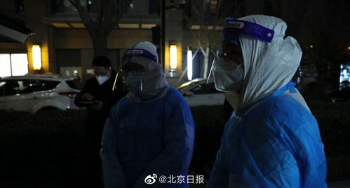 《我死后，全员火葬场了》，大连思科近300员工一夜失业，背后的故事与反思，大连思科招聘