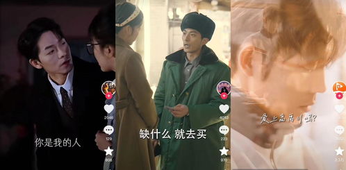 《复仇逆袭：这个婶婶画风不对》短剧在线观看，厉总，夫人再婚了短剧在线观看，厉总,夫人再婚了短剧完整版短剧在线观看
