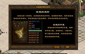 《我中专生横扫全球数学大赛》短剧在线观看，武魂天下，探索灵魂的力量短剧在线观看，武魂天下免费阅读短剧在线观看