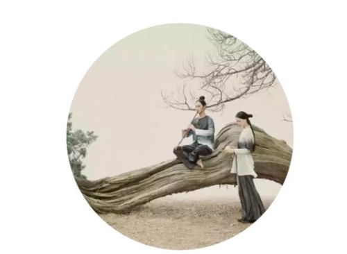 《离恨如春草》短剧在线观看，情非得已（60集）卢c鹿鹿，命运交织的情感纠葛短剧在线观看，情非得已 卢家宏短剧在线观看