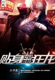 美女总裁的贴身狂龙