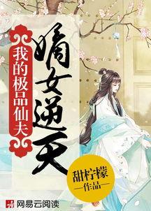 极品仙婿