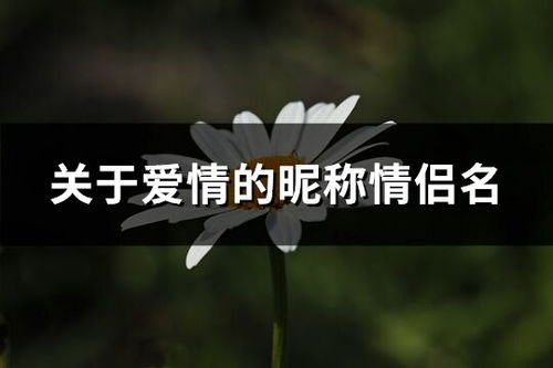 爱意终止，情感终结的复杂与释然