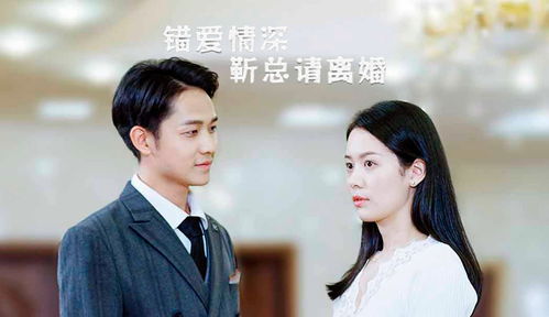 错爱情深（91集）