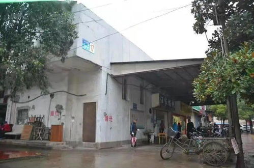 农门小娇妻100集_农门小娇妻100集免费阅读