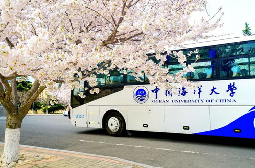 重生之我在学校叱咤风云（100集）_重生之我在学校叱咤风云100集