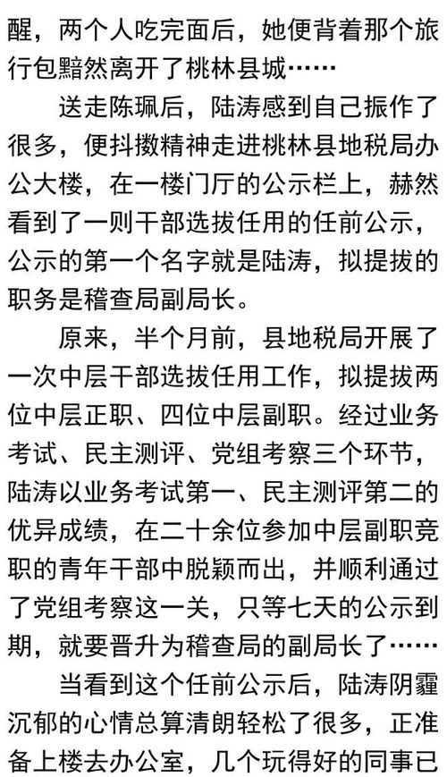 人生大赢家（长篇版）_小说人生大赢家
