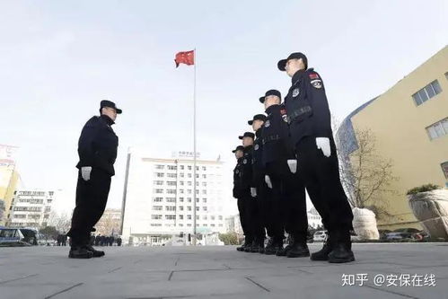 小保安都市狂飙（80集）_小保安在都市陈扬最新版本
