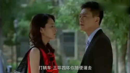 离婚后前夫总想纠缠我_离婚后前夫总想纠缠我短剧免费观看