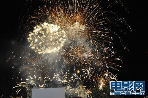 她似烟火绚烂_她似烟火绚烂短剧免费观看