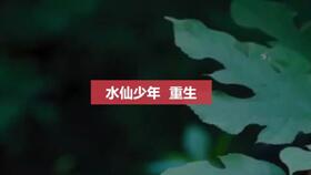 重生后，被墨少宠坏了（100集）_重生后被偏执慕少圈养了