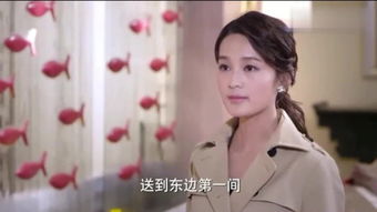 千金归来，主妇的复仇名单（50集）_千金归来复仇第几集