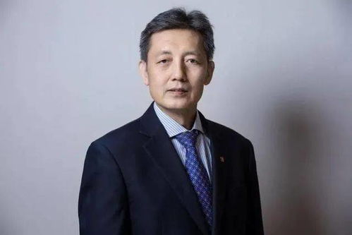 老婆抑郁症死亡后，我重生了!(77集)_我老婆患抑郁症我快疯了