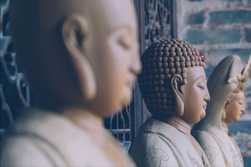 佛祖帮我成首富（80集）_佛祖救我