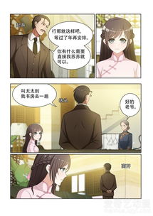 少帅，你的傻妻掉马甲了（92集）_少帅你的老婆跑了全文免费读