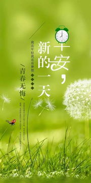 温暖的光（30集）_温暖的光啥意思
