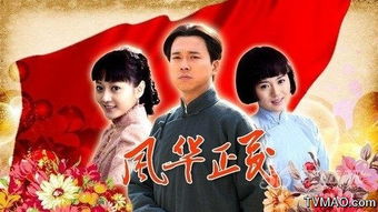 风华正茂（80集）_风华正茂电视剧百度百科