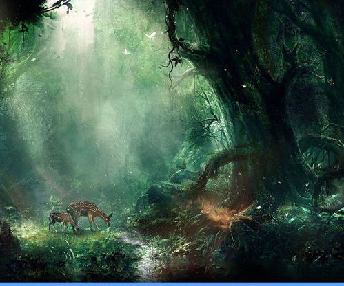 林深时见鹿（96集）_林深时见鹿(全集)