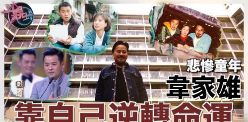 女霸总的贴身神医 54集_女霸总的贴身神医 54集在线观看