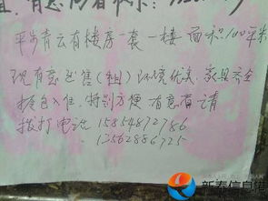 平步青云（100集）_《平步青云》