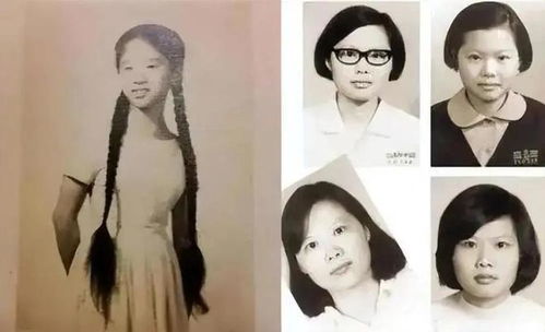 傅少：夫人带着小姐杀回来了（91集）_夫人,傅少又来复婚了!