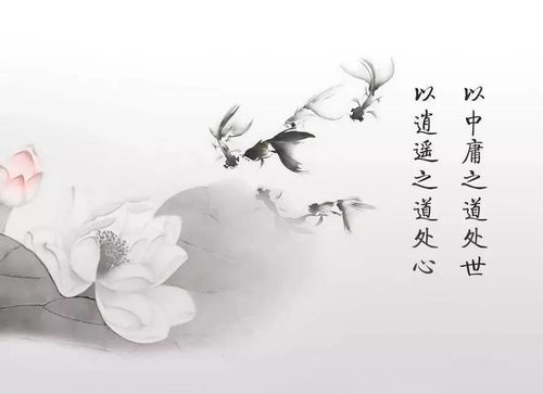 不负昭华（52集）_不负昭华不负你的意思