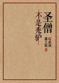 一代圣手（100集）_一代圣僧[综武侠] 小说