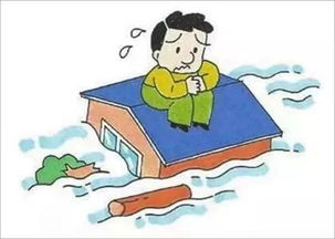 危墙之下（72集）_危墙之下什么意思