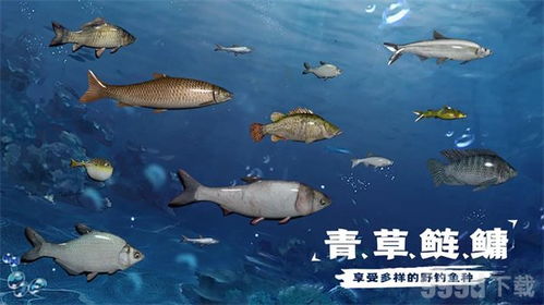 钓龙（94集）_钓龙94集