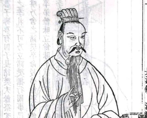 6564苟日的中年（80集）_