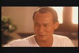 龙虎兄弟（80集）_龙虎兄弟(80集)一口气看完全集