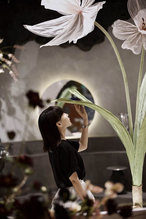 繁花年代（81集）_繁花年华