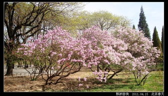 春天花会开（63集）_春天花会开63集
