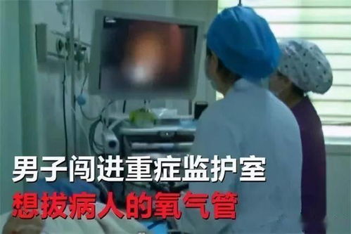 渣男拔掉我氧气管后，我重生了（90集）_《渣男bei pan以后我把他踹了》为你折枝
