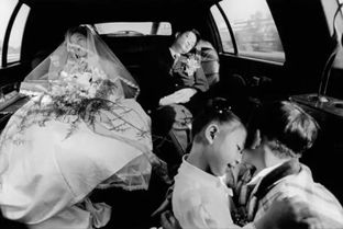 燃烧的婚姻（80集）_燃烧的婚姻80集在线观看