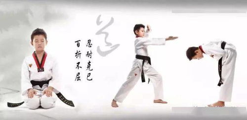 拳心拳意的爱（75集）_拳心拳意的爱75集在线观看