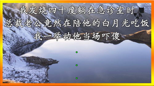 他的白月光（80集）_他的白月光最新章节