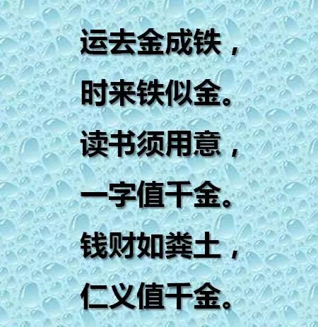善恶终有报（15集）_善恶终有报视频