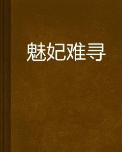 难寻[全28集]_难寻小说
