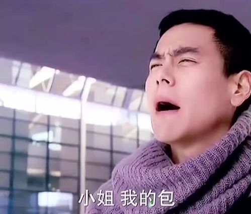 三个哥哥被撞飞后我走上了人生巅峰（84集）_三个哥哥来着