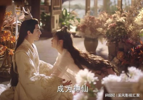 落花时节再逢君（82集）_落花时节再逢君电视剧