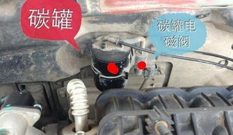 汽车油箱有多少管子的