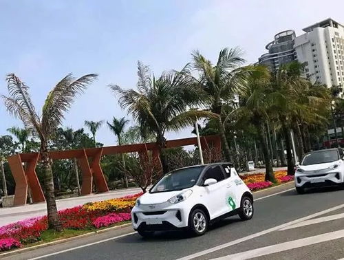 珠海投资共享汽车多少钱