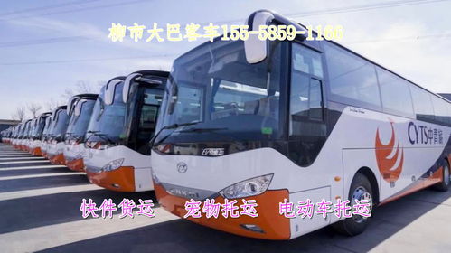 威海到合肥汽车多少时间