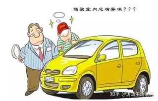 桂城汽车除甲醛价格多少