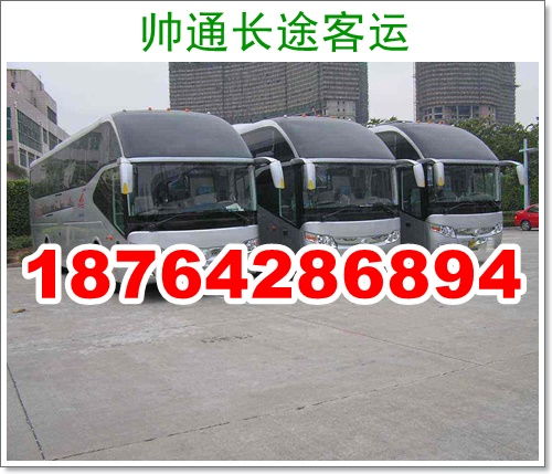 洛阳到栾川汽车多少钱