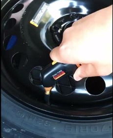 汽车备胎维护多少钱