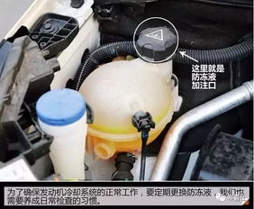 汽车防冻液多少升的好呢